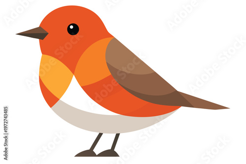 a cute robin bird  flat cartoon design  orange che