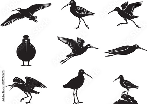 Long-Beaked Godwit Wading with Extended Legs