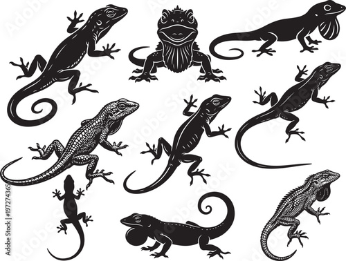 Green Anole Lizard Climbing with Slender Body