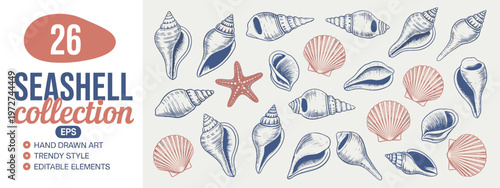 Hand drawn seashell collection with starfish and scallops