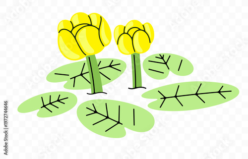 Yellow water lily, waterlily or pond lily, graphic design. Lily pad, flower and aquatic plant, vector design and illustration