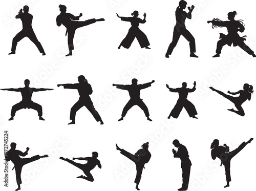 Fighters Performing Dynamic Martial Arts Combat Moves