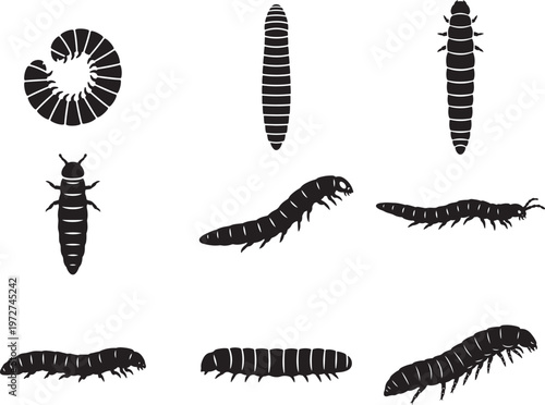 Mealworm Larva Crawling with Soft Segmented Body