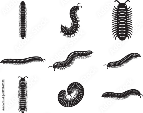 Segmented Millipede Crawling with Multiple Legs