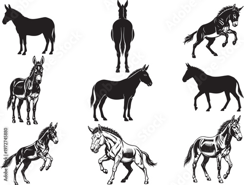 Strong Mule Standing with Solid Body Frame