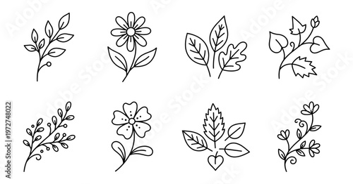 Nature & Organic Doodles_Leaves & Floral Doodles