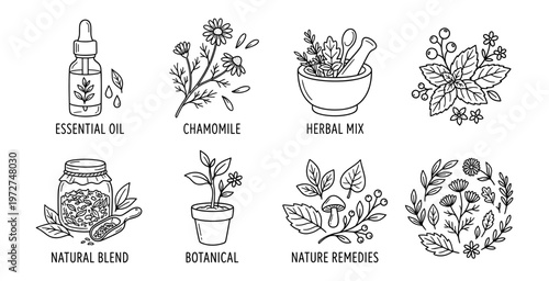 Natural Herbal Botanical Medicine Icons Set. Hand-drawn Essential Oil, Chamomile, Remedies, and Organic Ingredient Doodle Elements for Health, Wellness, Skincare, Spa Branding, and UI Design.