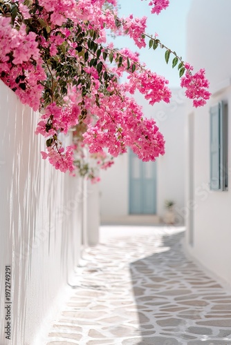 Bright pink flowers hang over a smooth white wall in a narrow pathway. The cobblestone ground leads through a charming setting typical of a Greek village under sunny skies