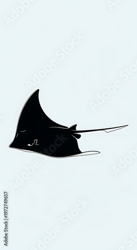Black Manta Ray Swimming Underwater Ocean.