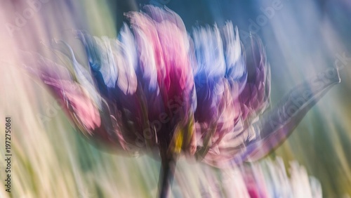 Dreamy abstract flower with painterly pink, blue, and purple streaked