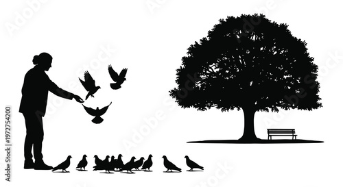 A person extends their hand to feed a flock of pigeons beneath a large tree presented as a silhouette high quality