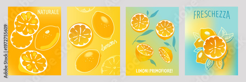 Bright lemon citrus set with slices and whole fruits in modern flat style. Fresh summer food illustration with yellow palette.