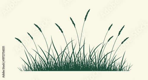 Green Grass Silhouette with Seed Heads and Wild Plants Isolated on Light Background Vector Design