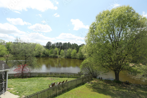 Frazier Lake, Durham, NC at Spring