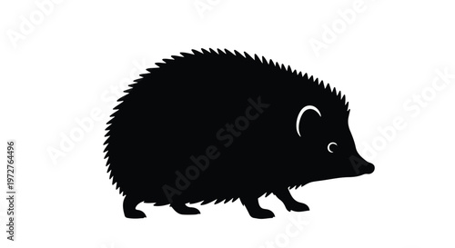 Black silhouette of a hedgehog walking on white background, simple animal illustration for design and wildlife concept