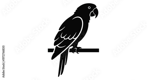 Black silhouette of a parrot perched on a branch isolated on white background.