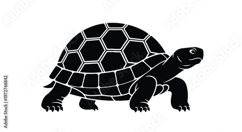 Black turtle with honeycomb shell pattern walking on white background, side view, modern illustration for nature, wildlife, and conservation concepts