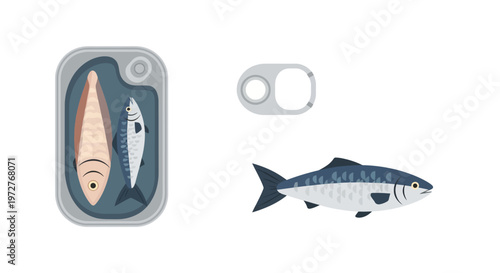 Canned fish with open lid and fresh fish illustration on white