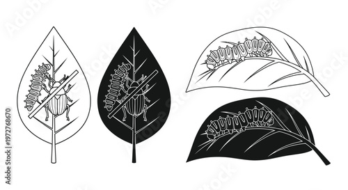 Caterpillar insect feeding on a leaf, depicted in outline and solid black styles.
