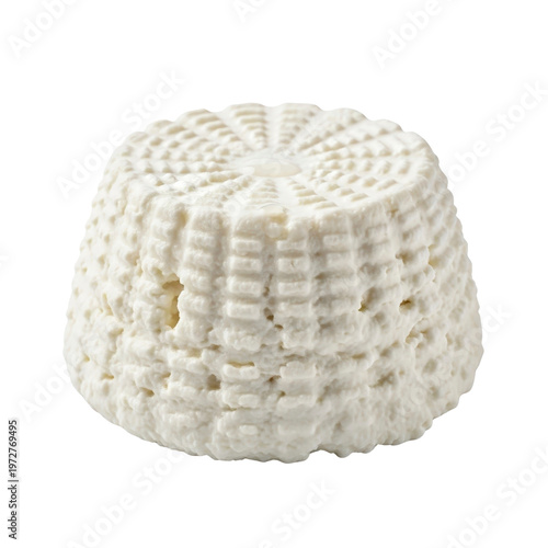 Fresh ricotta cheese isolated on transparent background