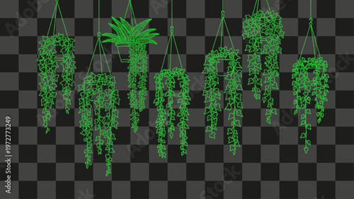 Green outline hanging plants set isolated on transparent background nature element design