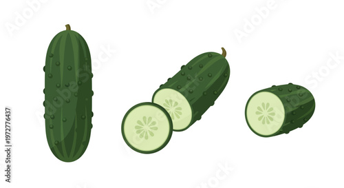 Fresh cucumber varieties in detailed flat design