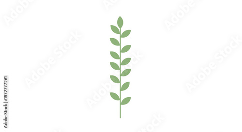 Minimalistic green leaf stem on white background