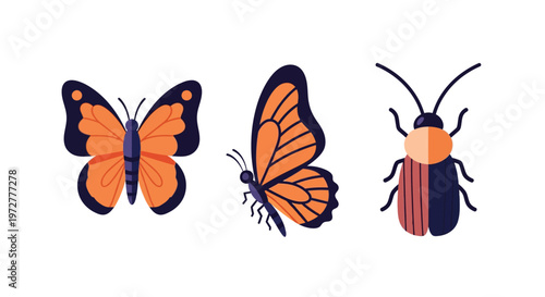 insect collection: butterfly and beetle flat design silhouettes