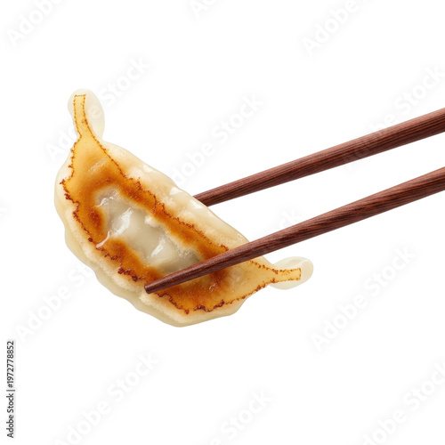 Gyoza being held by chopsticks isolated on transparent background