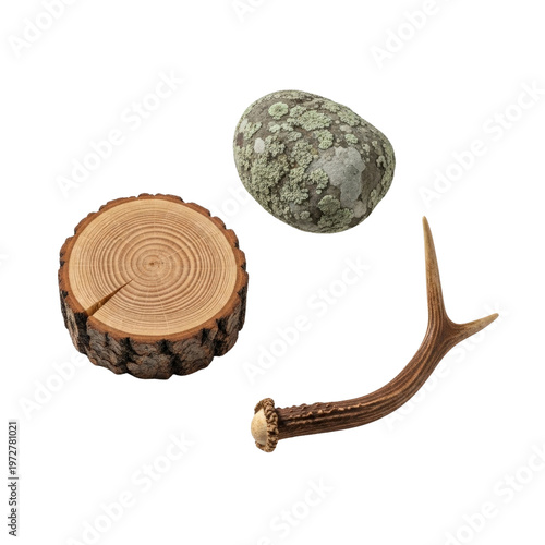 Wood slice stone and antler isolated on transparent background