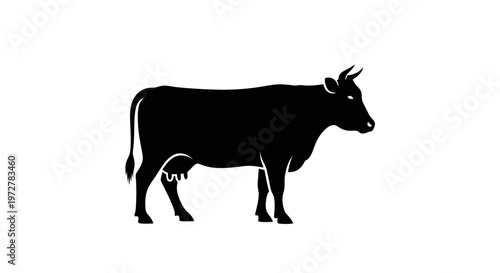 Black silhouette of a dairy cow standing in profile, isolated on white background, vector illustration of farm animal and cattle livestock.