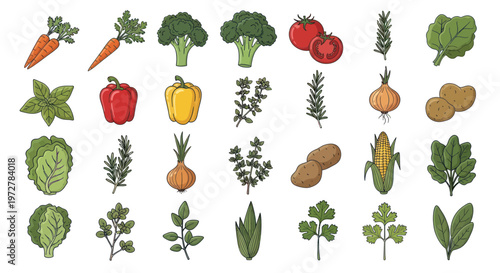 Fresh Vegetables and Herbs Collection, Hand-Drawn Style