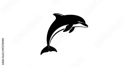 Jumping Dolphin Silhouette, Black and White Vector Illustration of Marine Mammal isolated on White Background