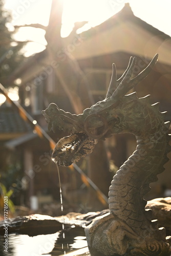Obraz na płótnie 新潟市西蒲区岩室 岩室神社の手水の龍（新潟県新潟市西蒲区岩室）