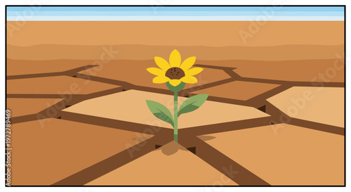 Sunflower growing in cracked arid desert landscape depicting