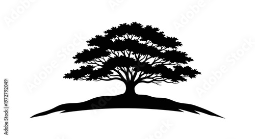 Solitary Tree on Hilltop Stencil Vector Illustration with Dramatic Crown Silhouette