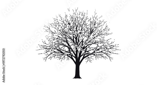 Frozen Tree Silhouette with Icy Branches Vector Illustration - Winter Nature Design Element on White Background