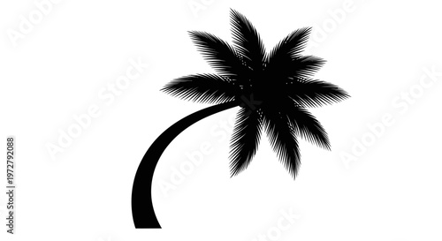 Tropical Palm Tree Vector Illustration with Curved Trunk and Fan Shaped Leaves Isolated for Summer Design