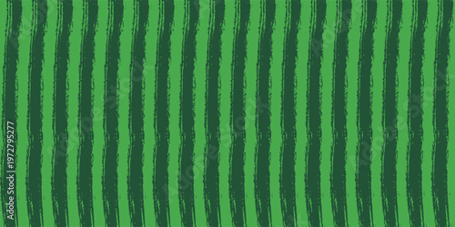 Watermelon skin striped seamless pattern. Watermelon peel background