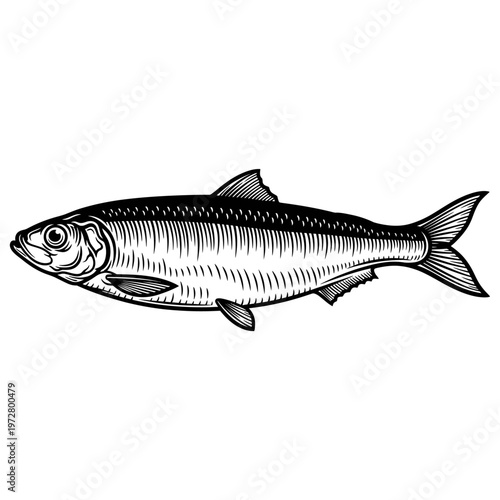 Modern Abstract Geometric Vector Illustration with Minimalist Design Elements for Digital Branding