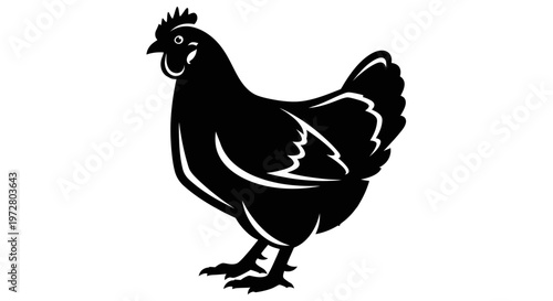 Konstfotografi Black silhouette of a chicken standing on white background, isolated vector illu