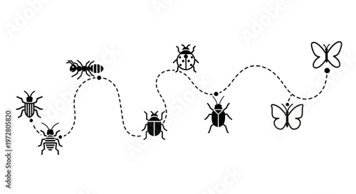 Insect Path: Ant, Ladybug, Beetle, Butterfly Journey on Dotted Line