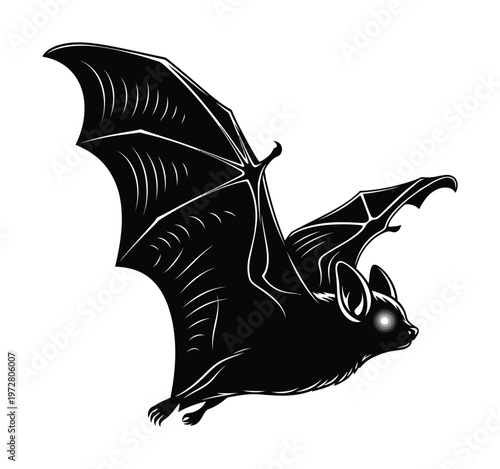 Vector of a bat in flight with outstretched wings against a plain background