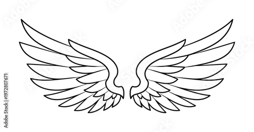 Vector features symmetrical wings with intricate feather design and clean lines.