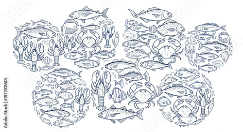 Bild auf Leinwand Collage of various ocean sea creatures and fish, crab and lobster