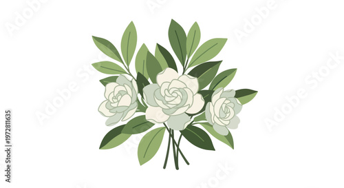 Minimalist illustration of white gardenia flowers with green leaves on white background