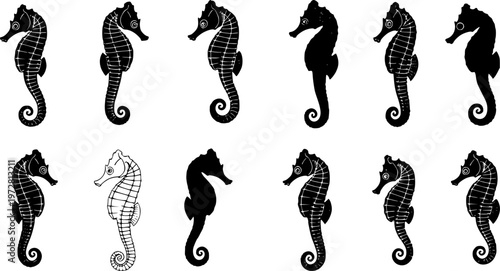 A set of minimalist seahorse silhouettes in various poses on a transparent background
