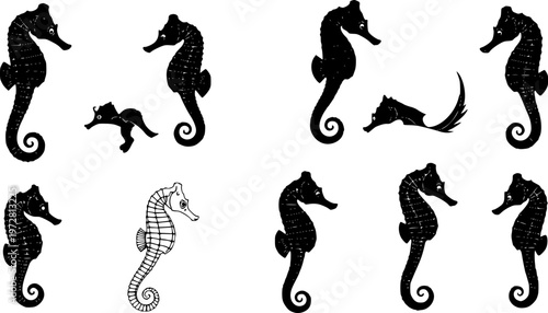 A set of minimalist seahorse silhouettes in various poses on a transparent background
