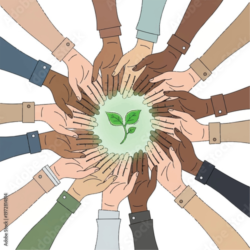 Diverse hands join together around a green sprout symbolizing unity and growth.