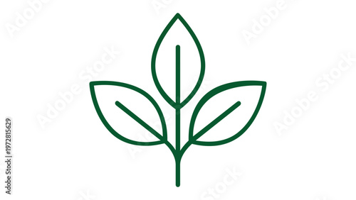 Green minimalist line art vector icon of three leaves on a stem, symbolizing growth, nature, and environmental sustainability, clean flat illustration for eco-friendly branding and web design.